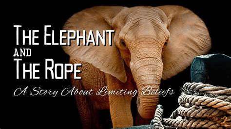 elephant tied with rope|Elephant and the Rope Story: A Motivational Story About.
